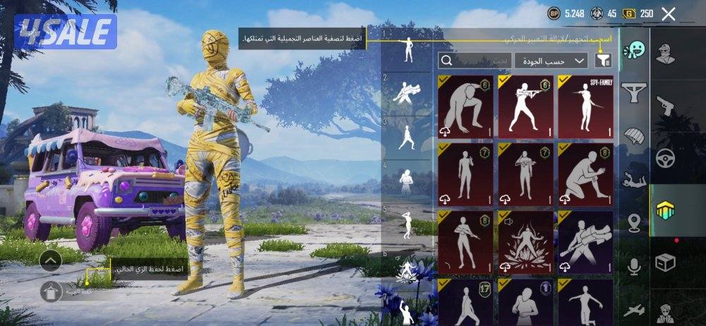 حساب ببجي للبيع3