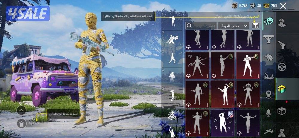 حساب ببجي للبيع4