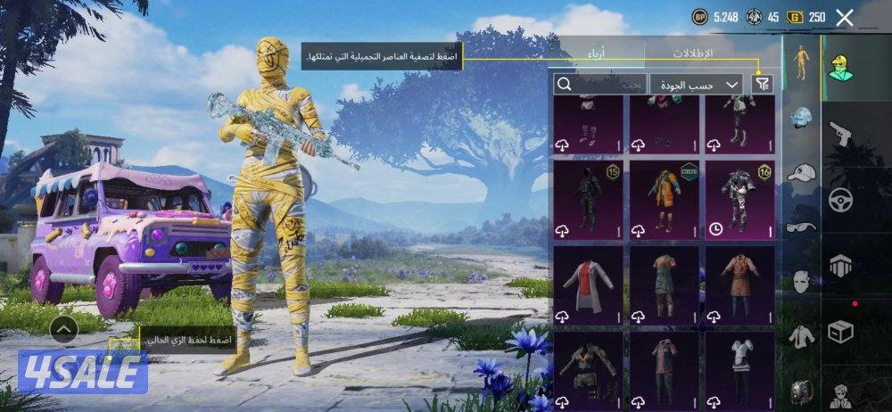 حساب ببجي للبيع6