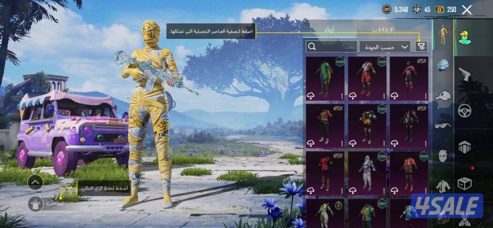 حساب ببجي للبيع9