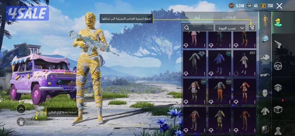 حساب ببجي للبيع11