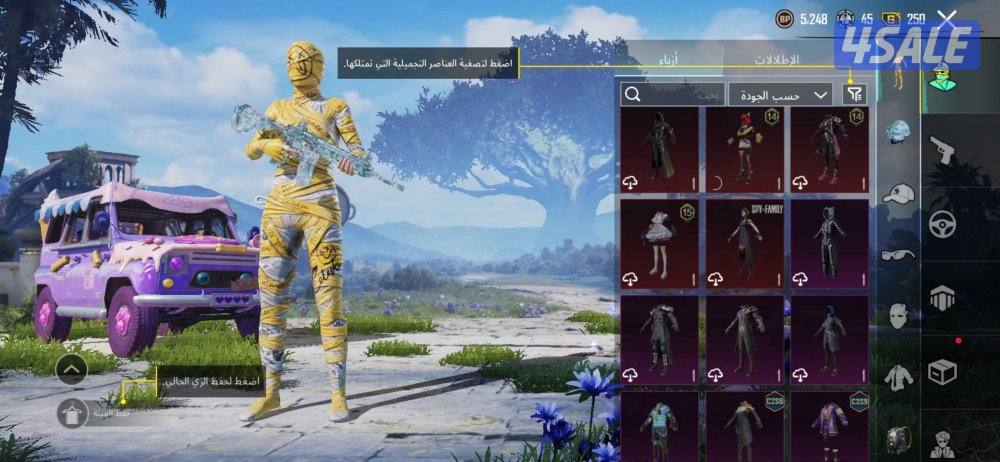 حساب ببجي للبيع12