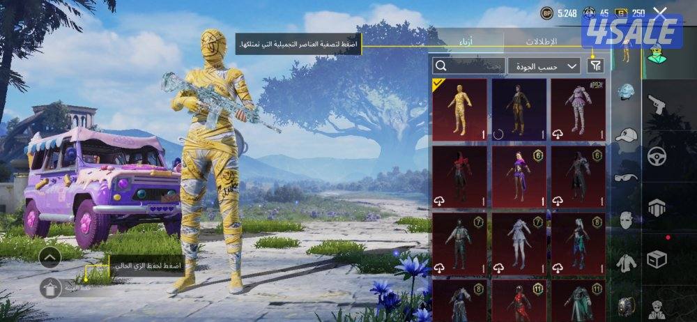 حساب ببجي للبيع13