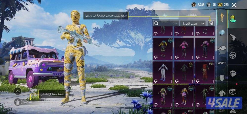 حساب ببجي للبيع14