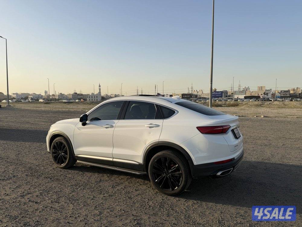 توجيلا 2021 الفل درجة اولى1