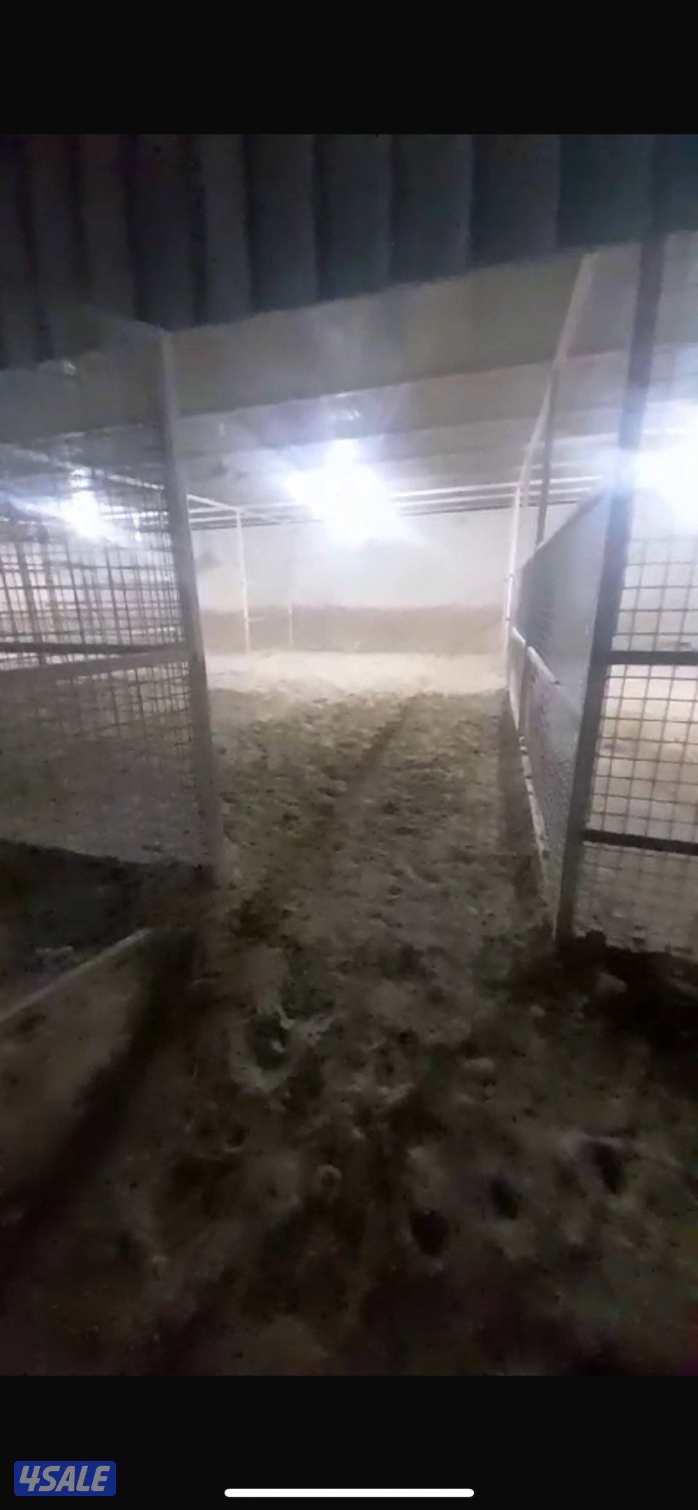 للأيجار في كبد حوش غنم مع ديوانيه وملحقاتها0