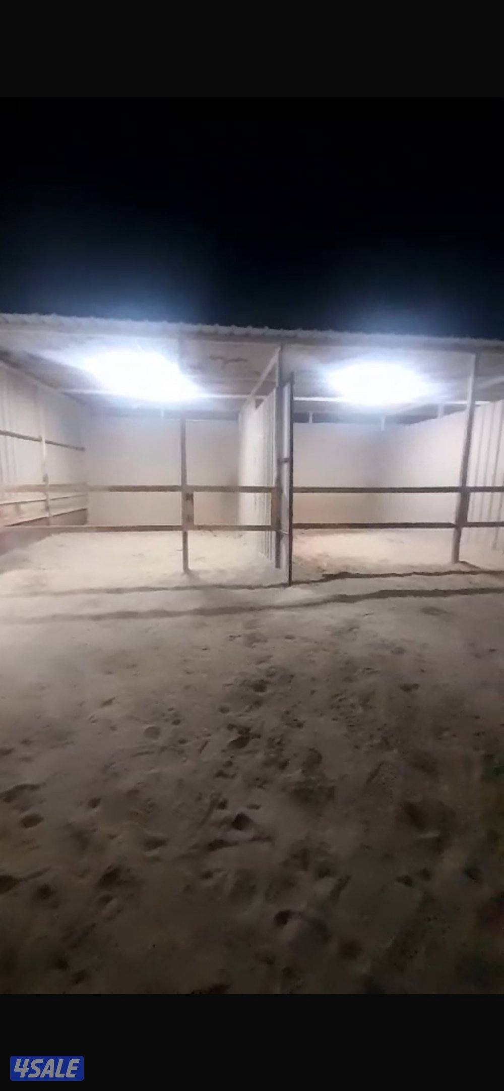 للأيجار في كبد حوش غنم مع ديوانيه وملحقاتها1