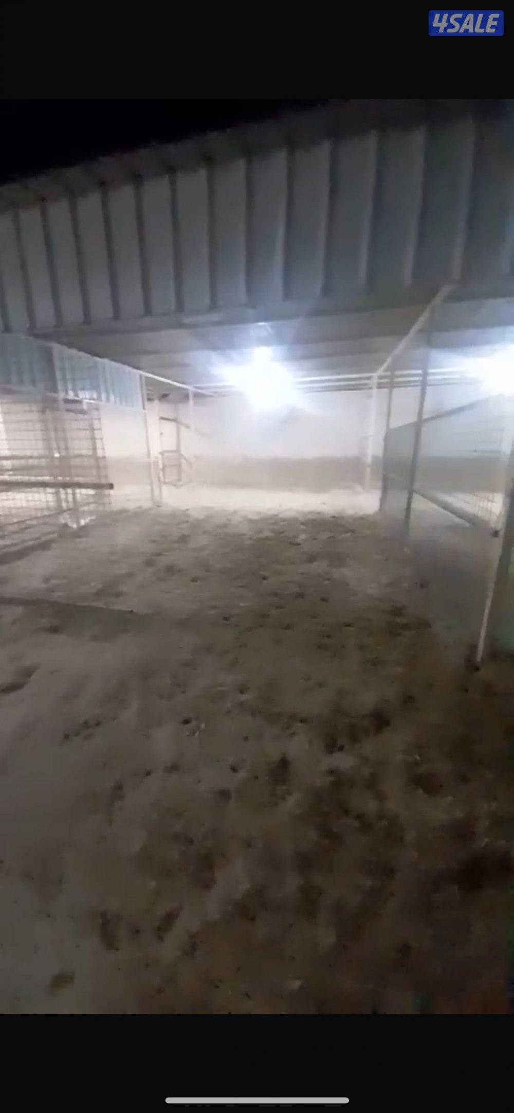 للأيجار في كبد حوش غنم مع ديوانيه وملحقاتها4