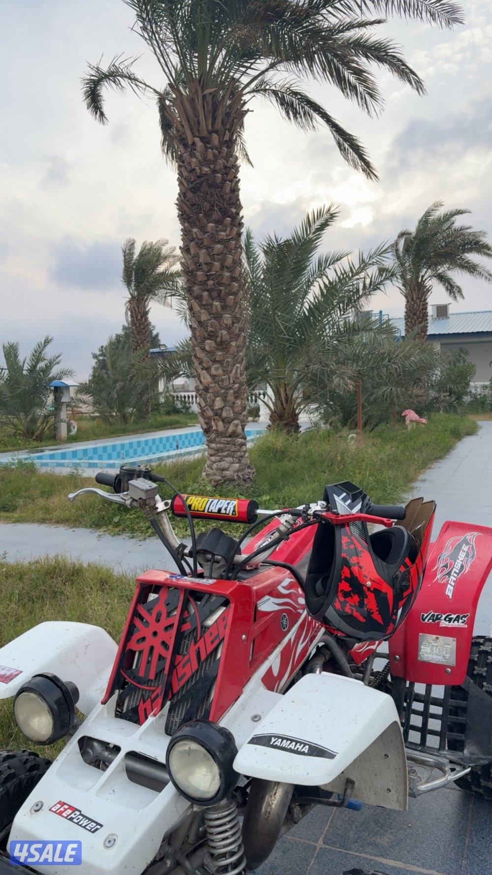 بانشي شرط الفحص4