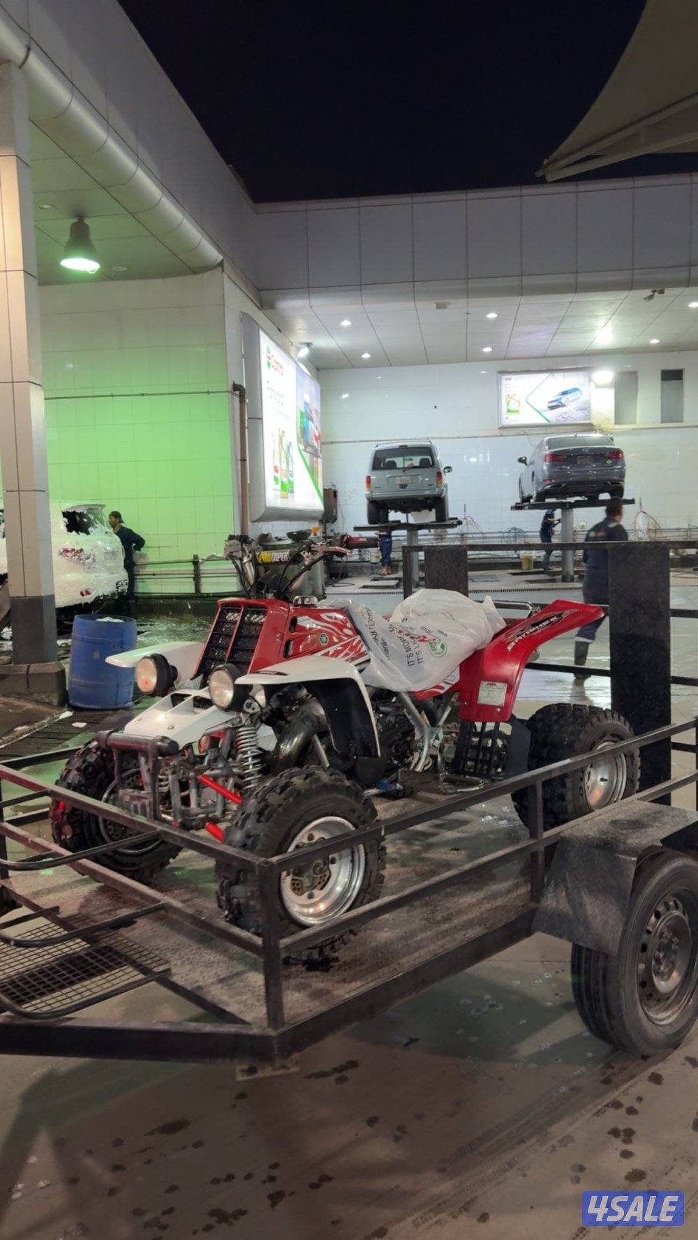 بانشي شرط الفحص5