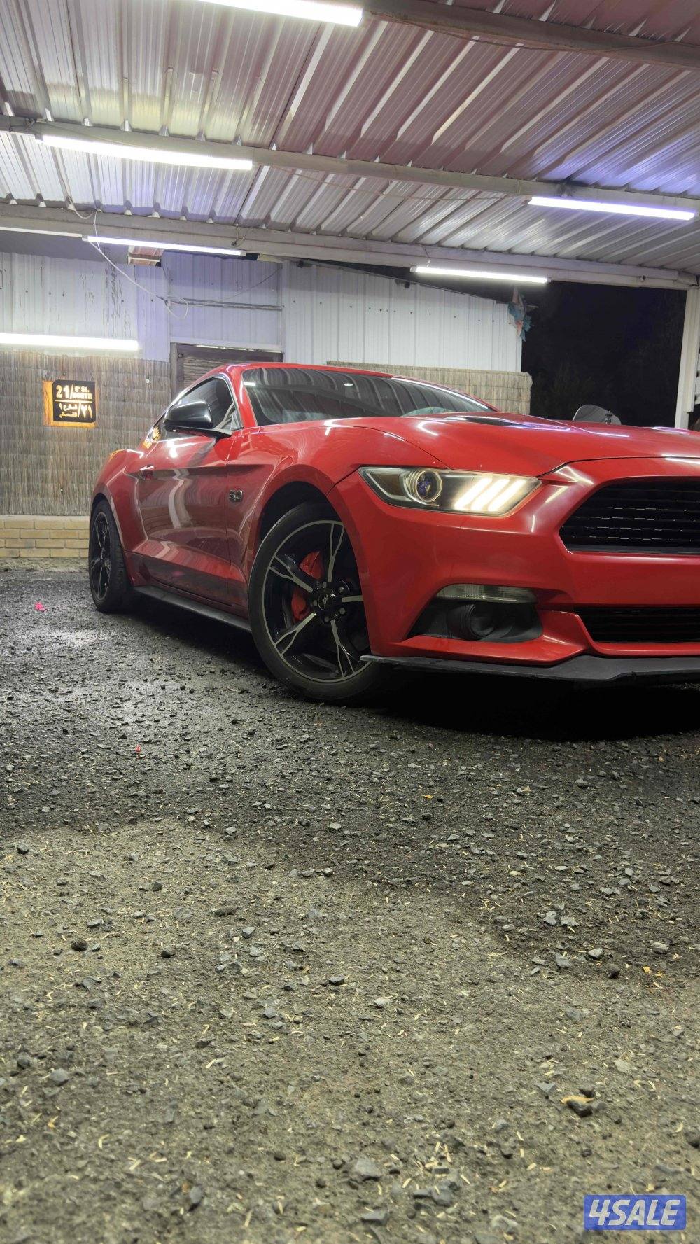 موستنق كالفورنيا سبيشل2