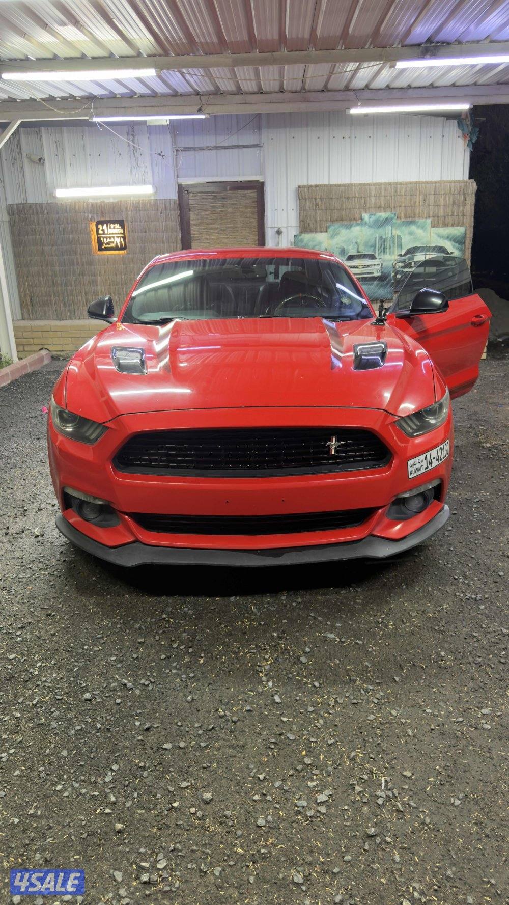 موستنق كالفورنيا سبيشل5