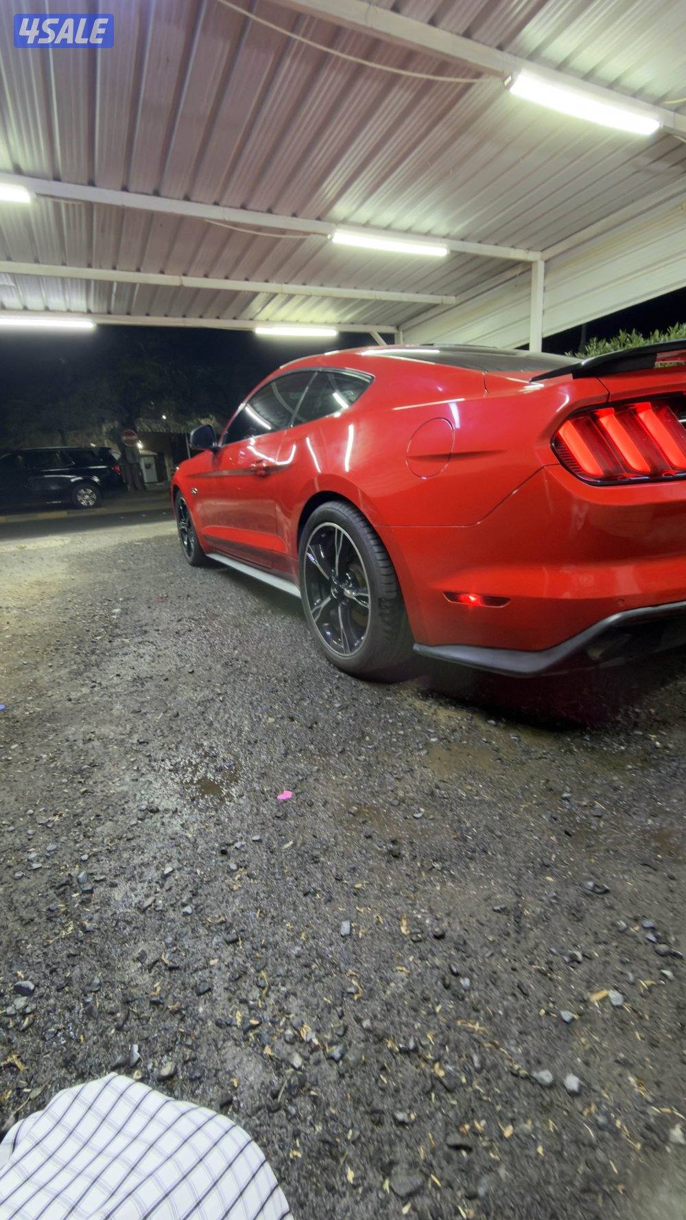 موستنق كالفورنيا سبيشل13