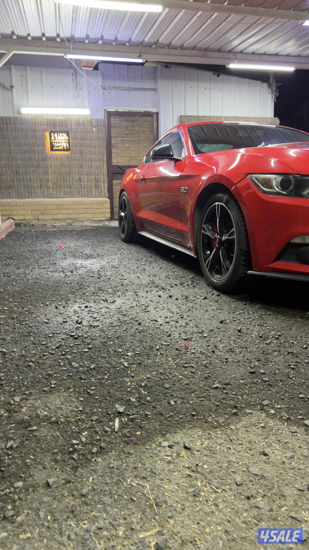 موستنق كالفورنيا سبيشل14