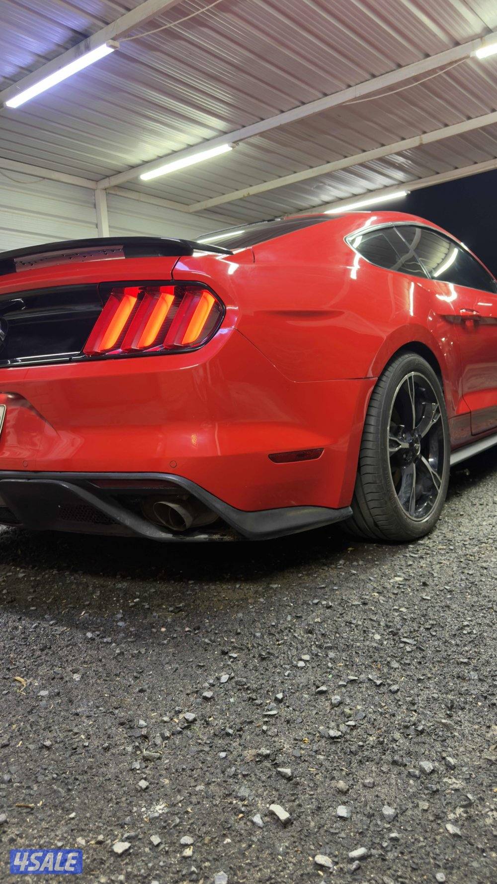 موستنق كالفورنيا سبيشل15