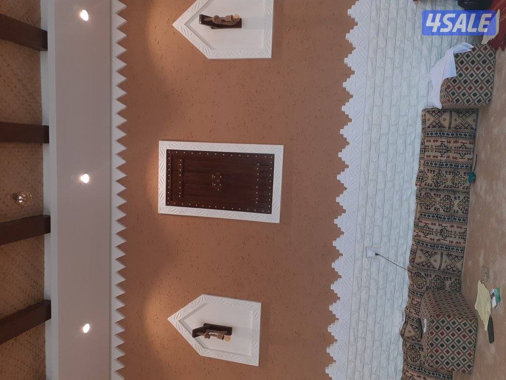 صباغ جبسم وبود باکستانی0