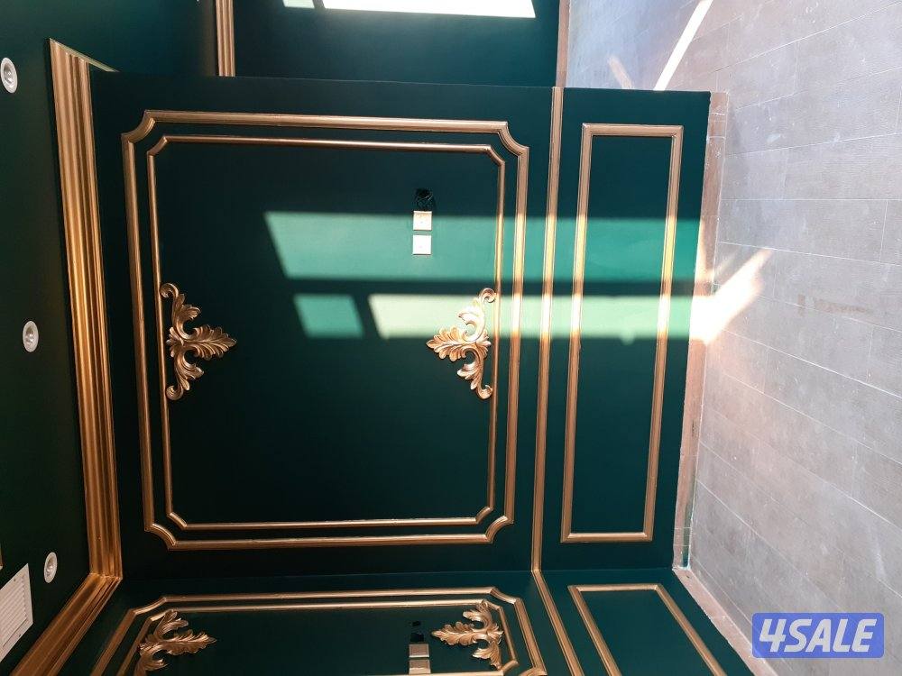 صباغ جبسم وبود باکستانی4