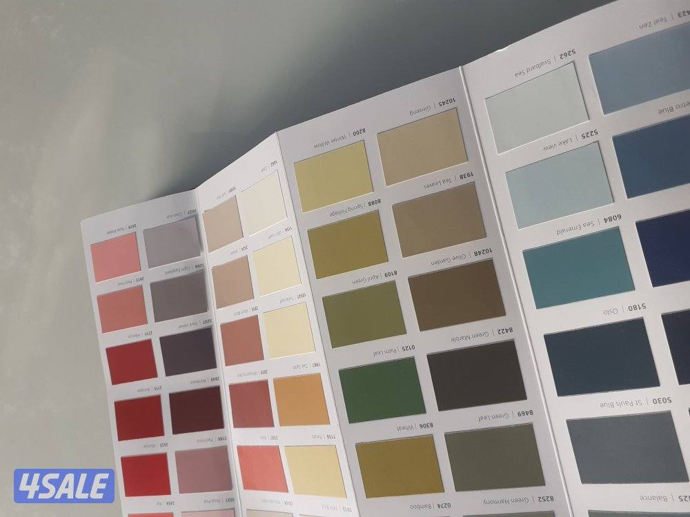 صباغ جبسم وبود باکستانی6