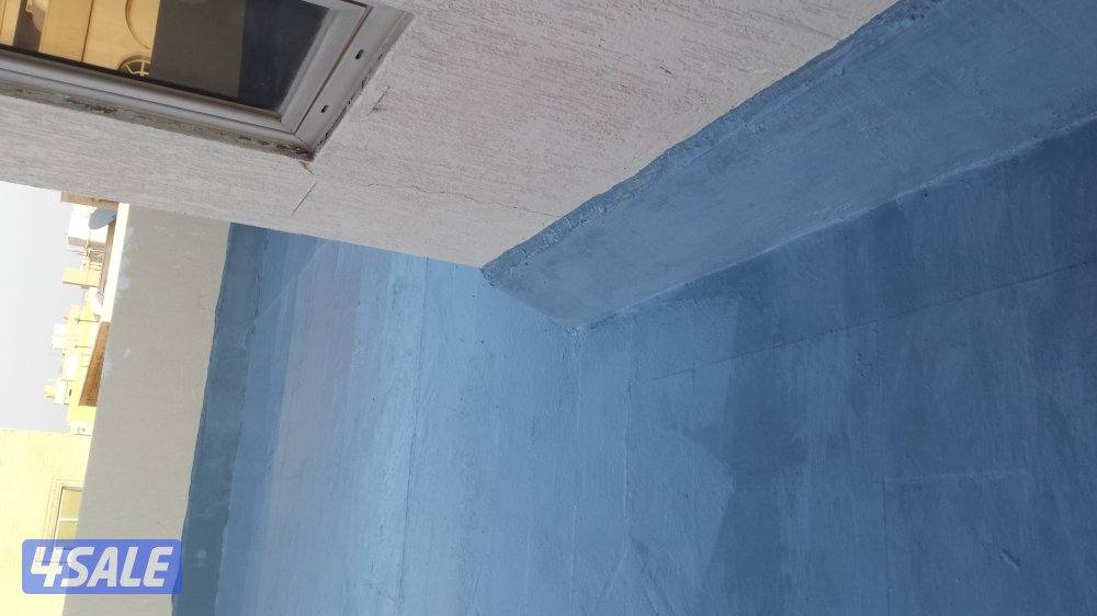 صباغ جبسم وبود باکستانی7