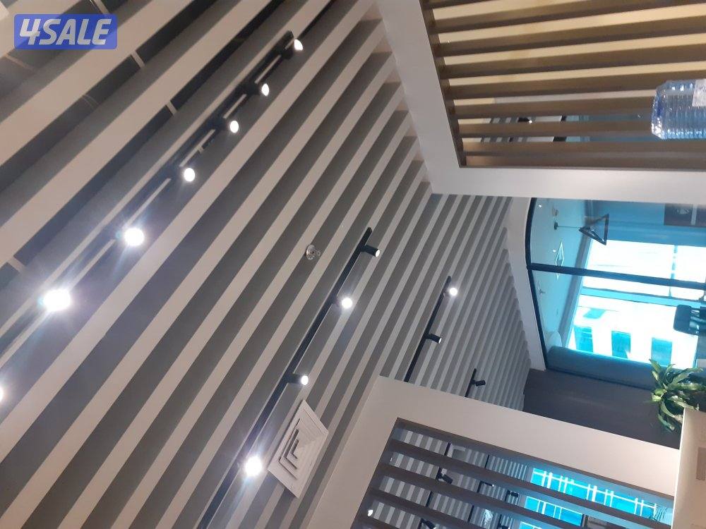 صباغ جبسم وبود باکستانی8