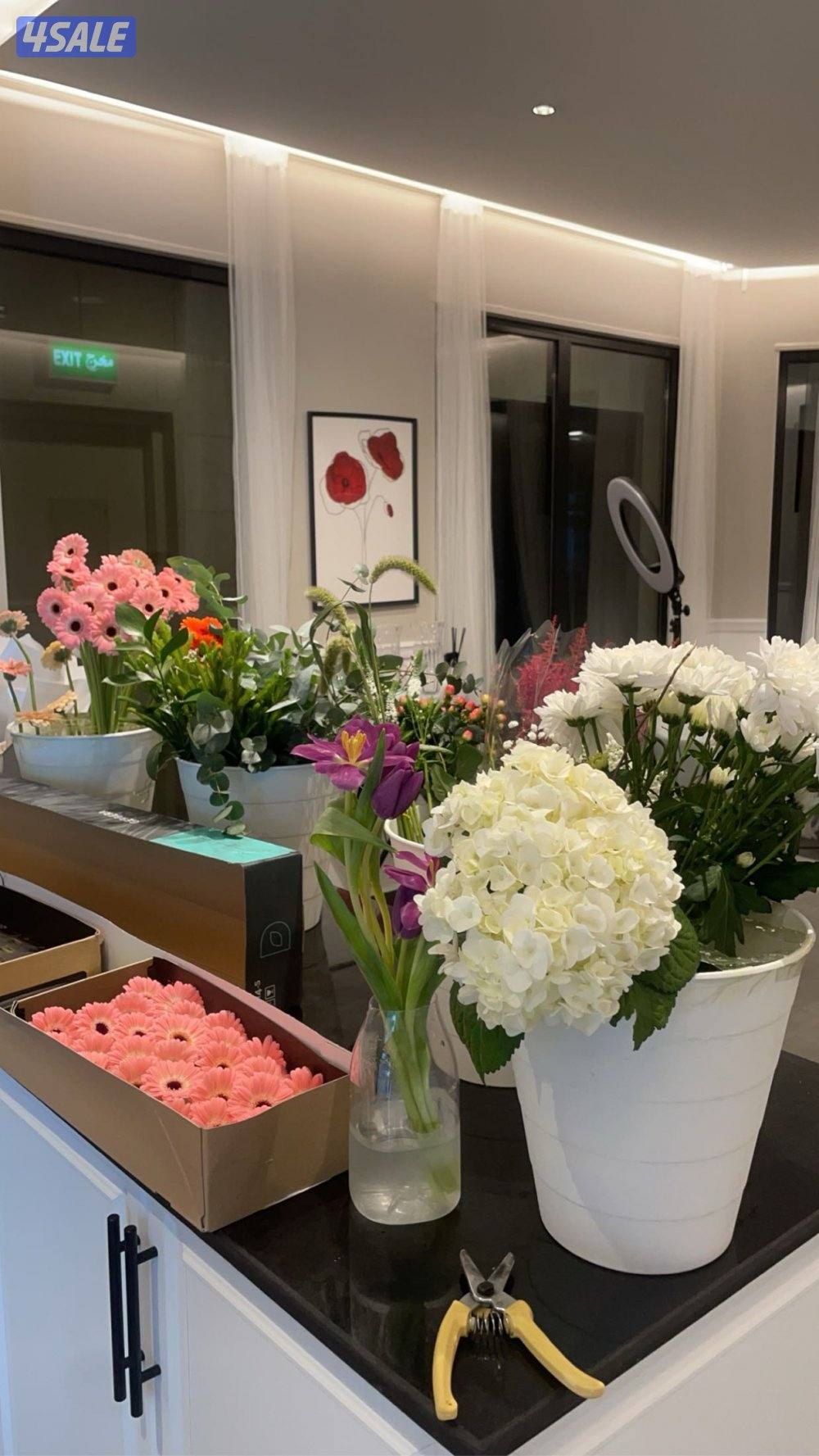 للخلو محل ورد1