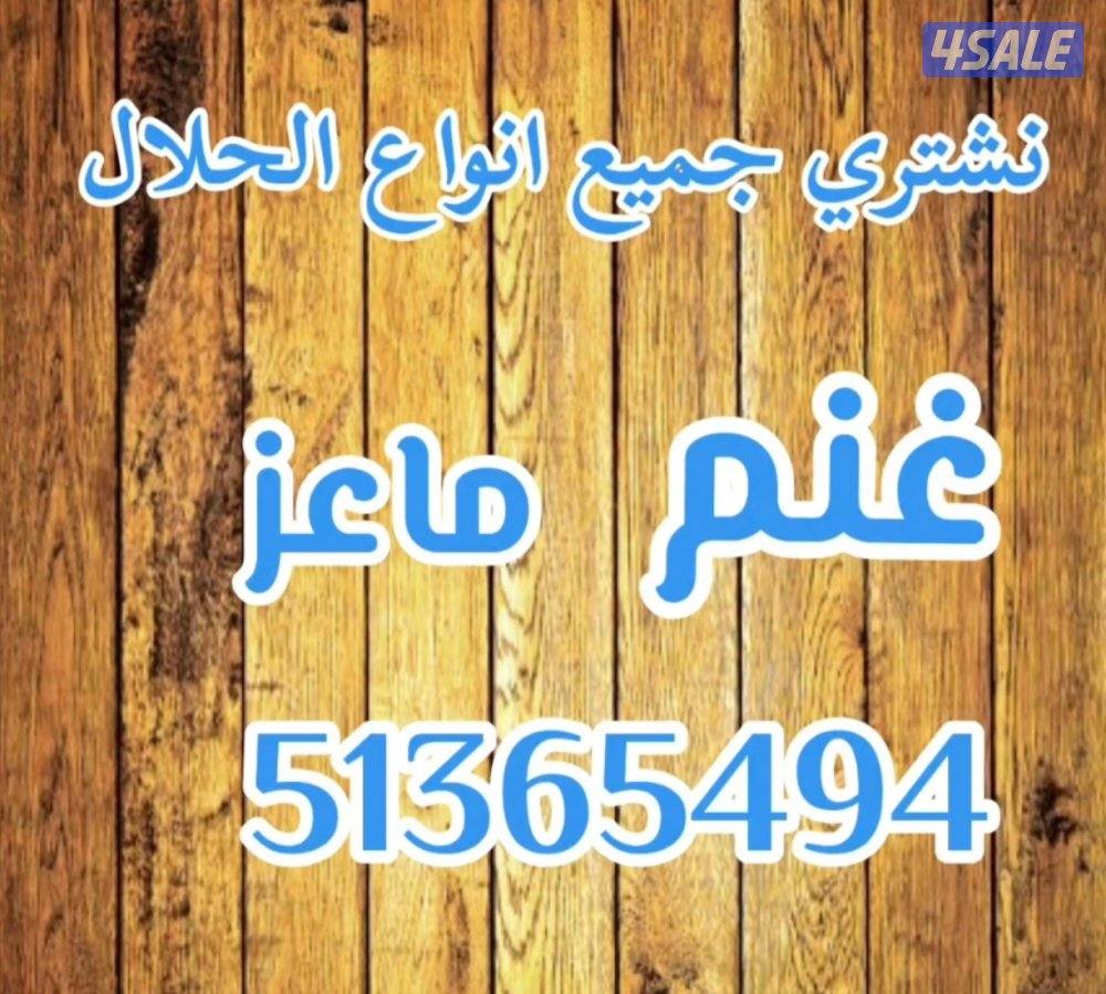 نشتري جميع انواع الحلال غنم او ماعز ولدفع كاش أو رابط0