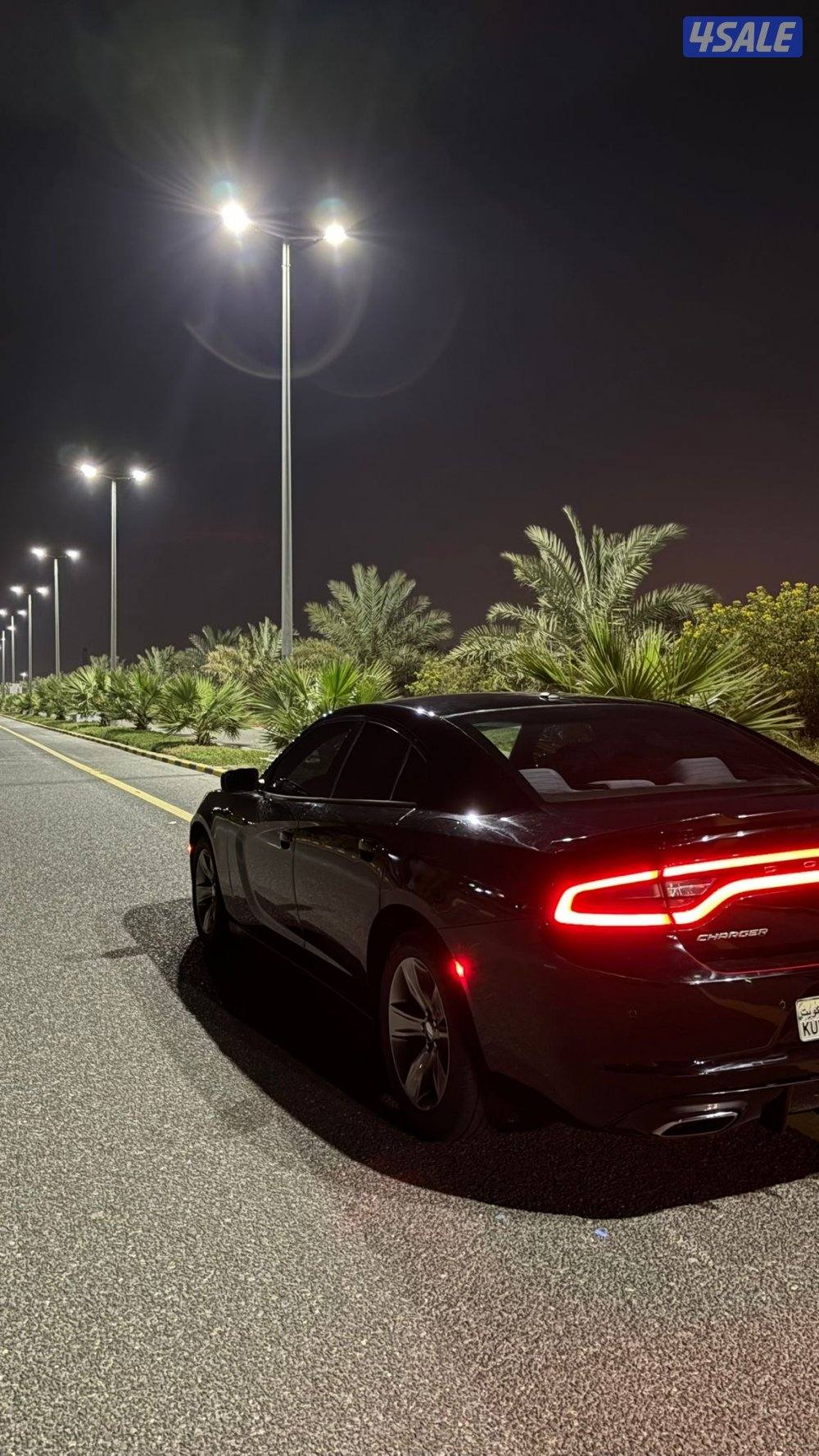 بسم الله الرحمن الرحيم6