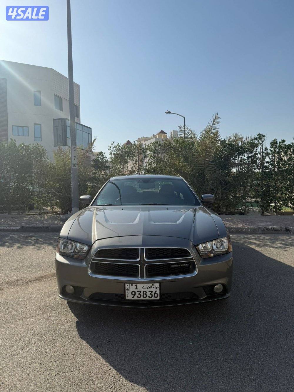 شارجر RT هيمي2