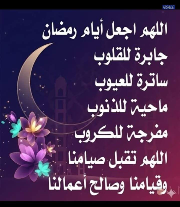 مدرس لغة عربية تأسيس ومتوسط وثانوي0