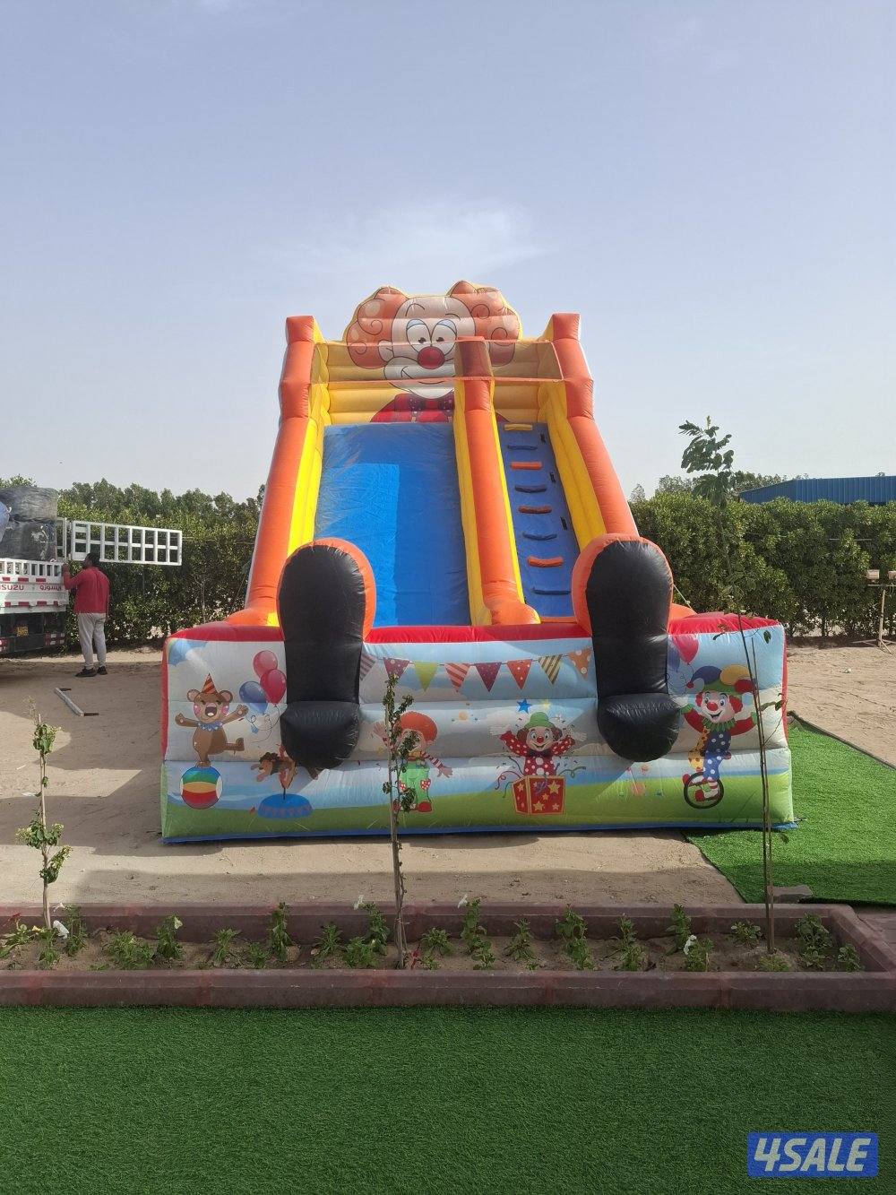 للايجار بونية فرس جميل للتصوير ويوجد نطاطيات5