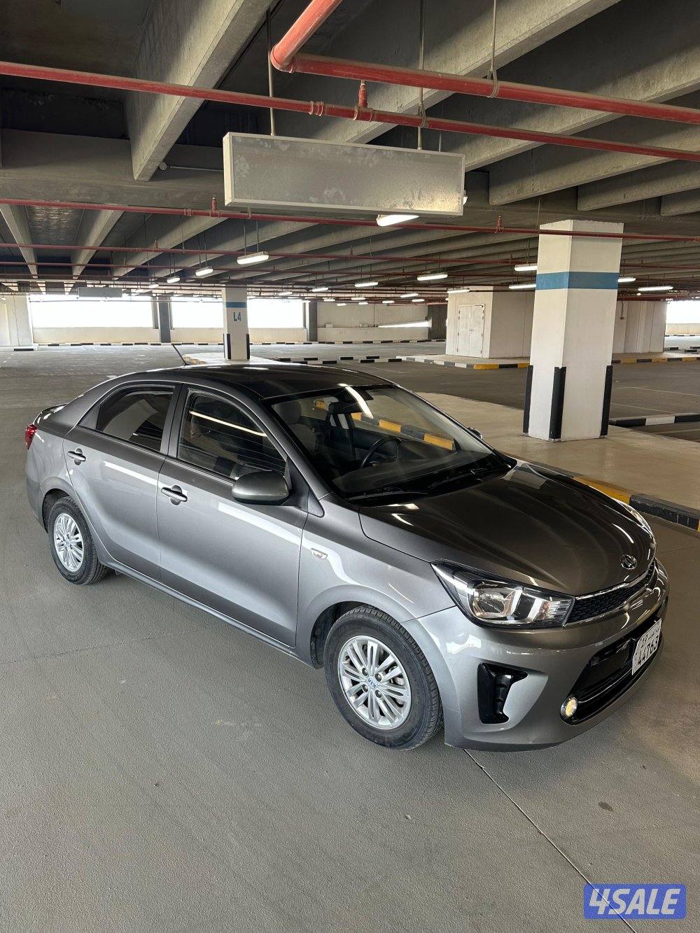 بيجاس صبغ الوكاله5