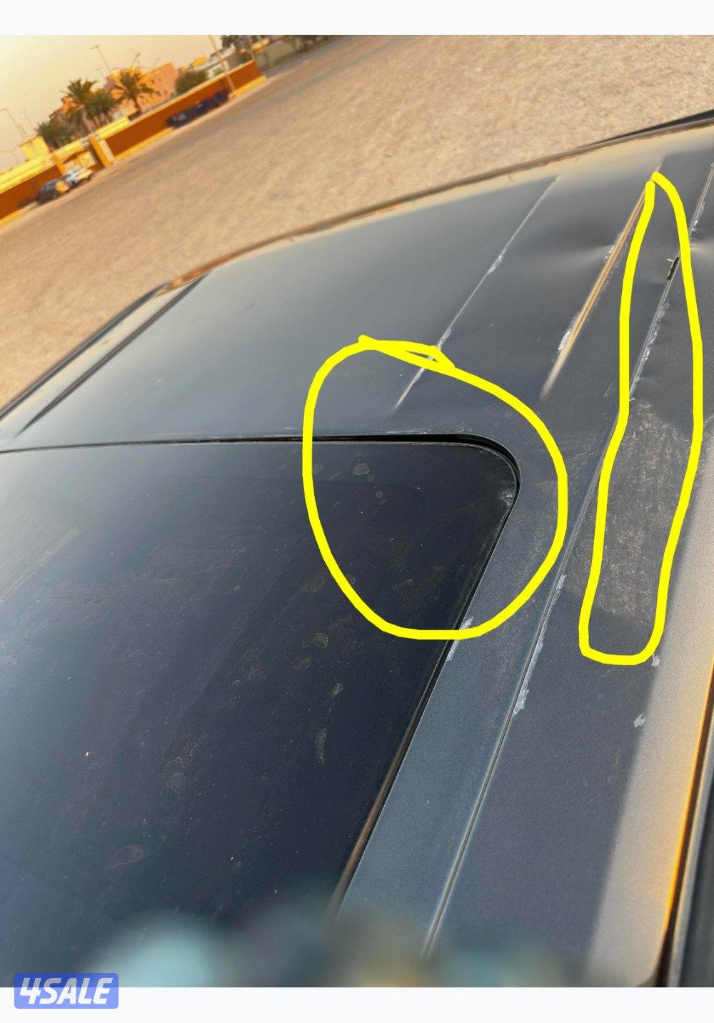 رابتر ٢٠١٨ وارد الامارات11