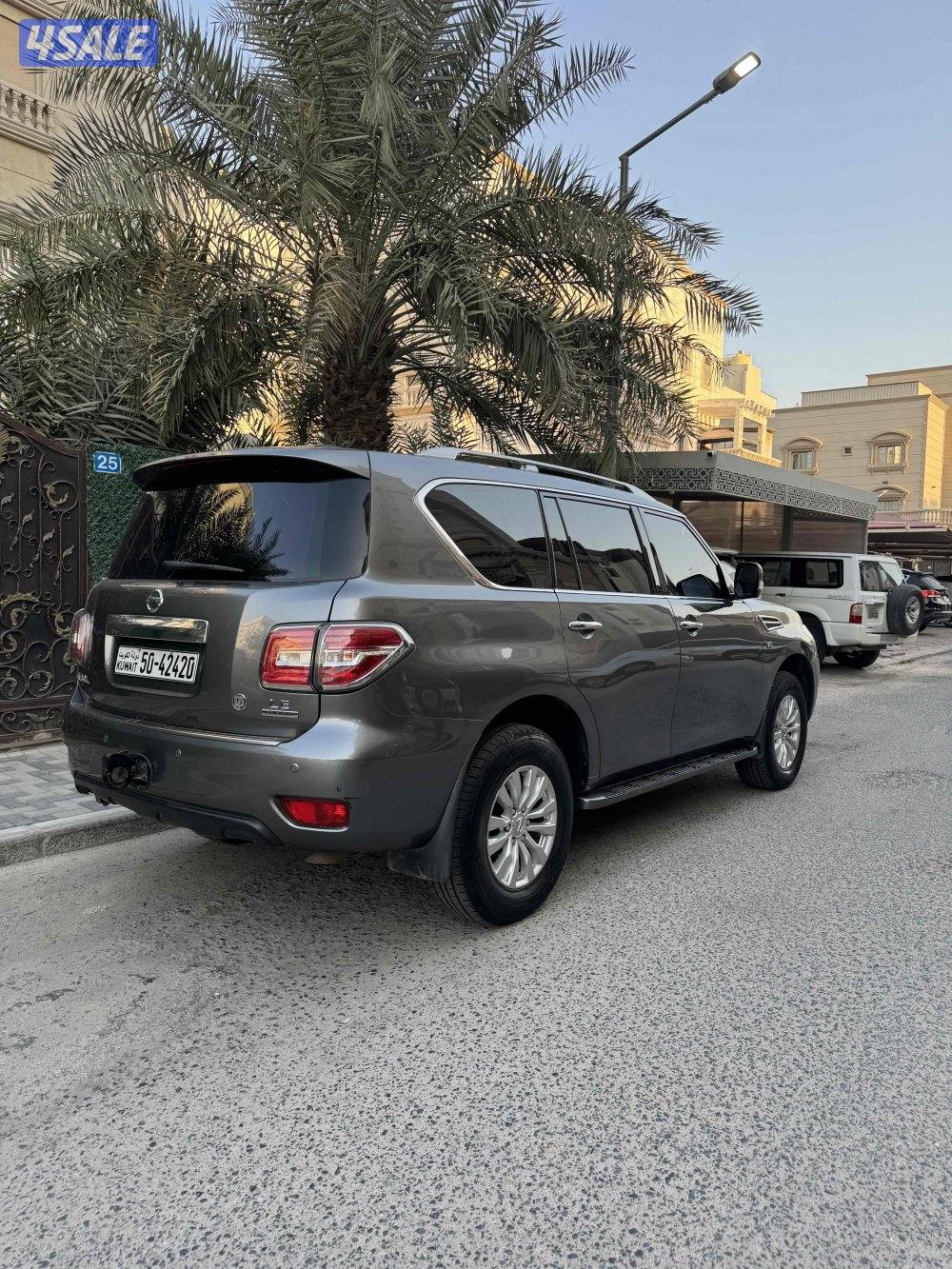 صبغ الوكالة بالكامل / باترول LE 20180