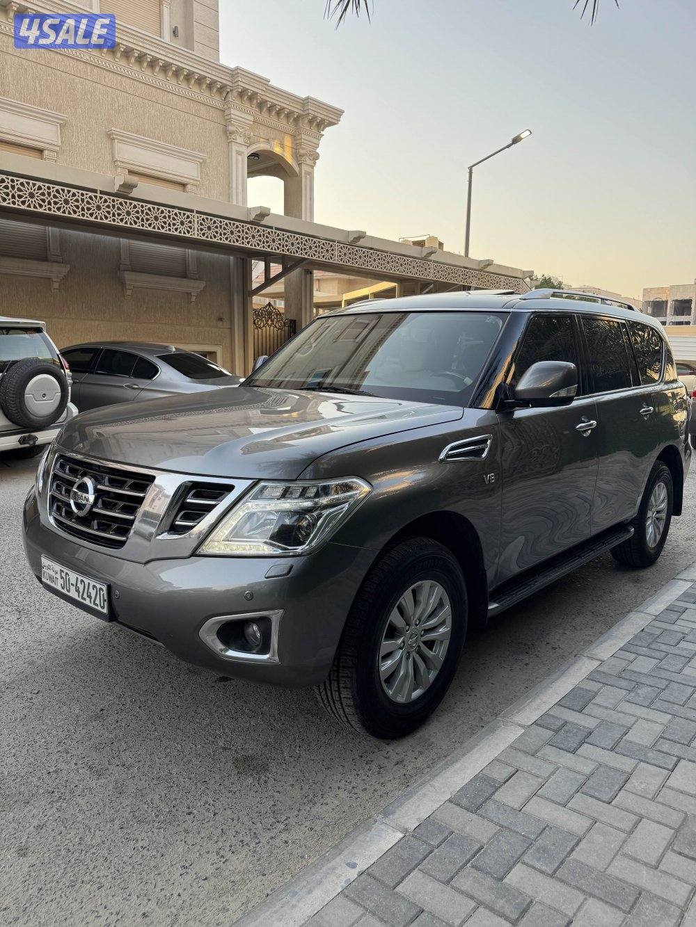 صبغ الوكالة بالكامل / باترول LE 20181