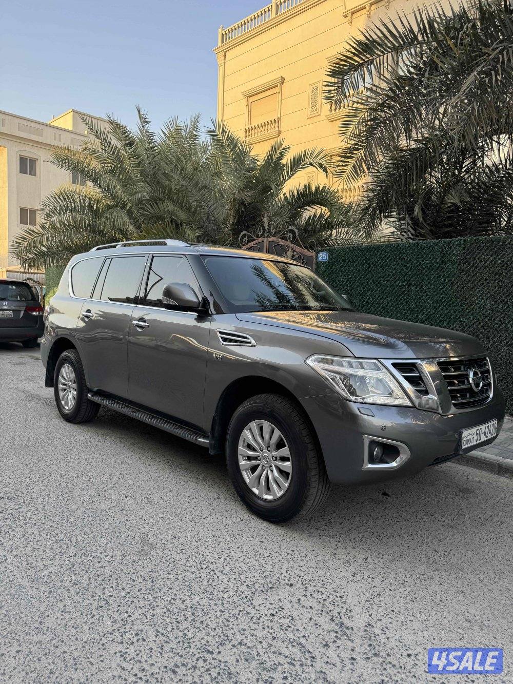 صبغ الوكالة بالكامل / باترول LE 20182