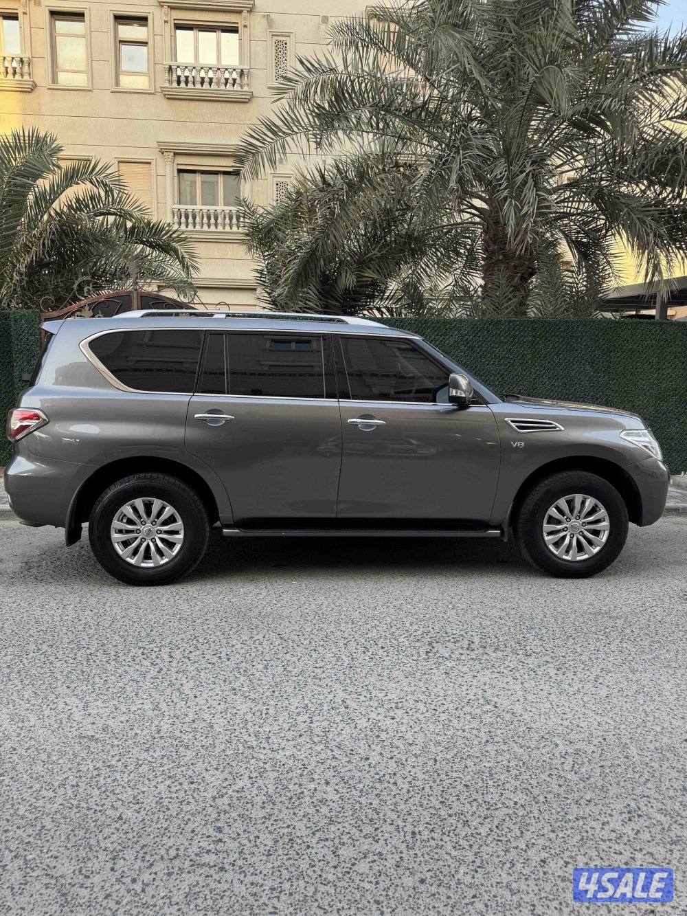 صبغ الوكالة بالكامل / باترول LE 20184