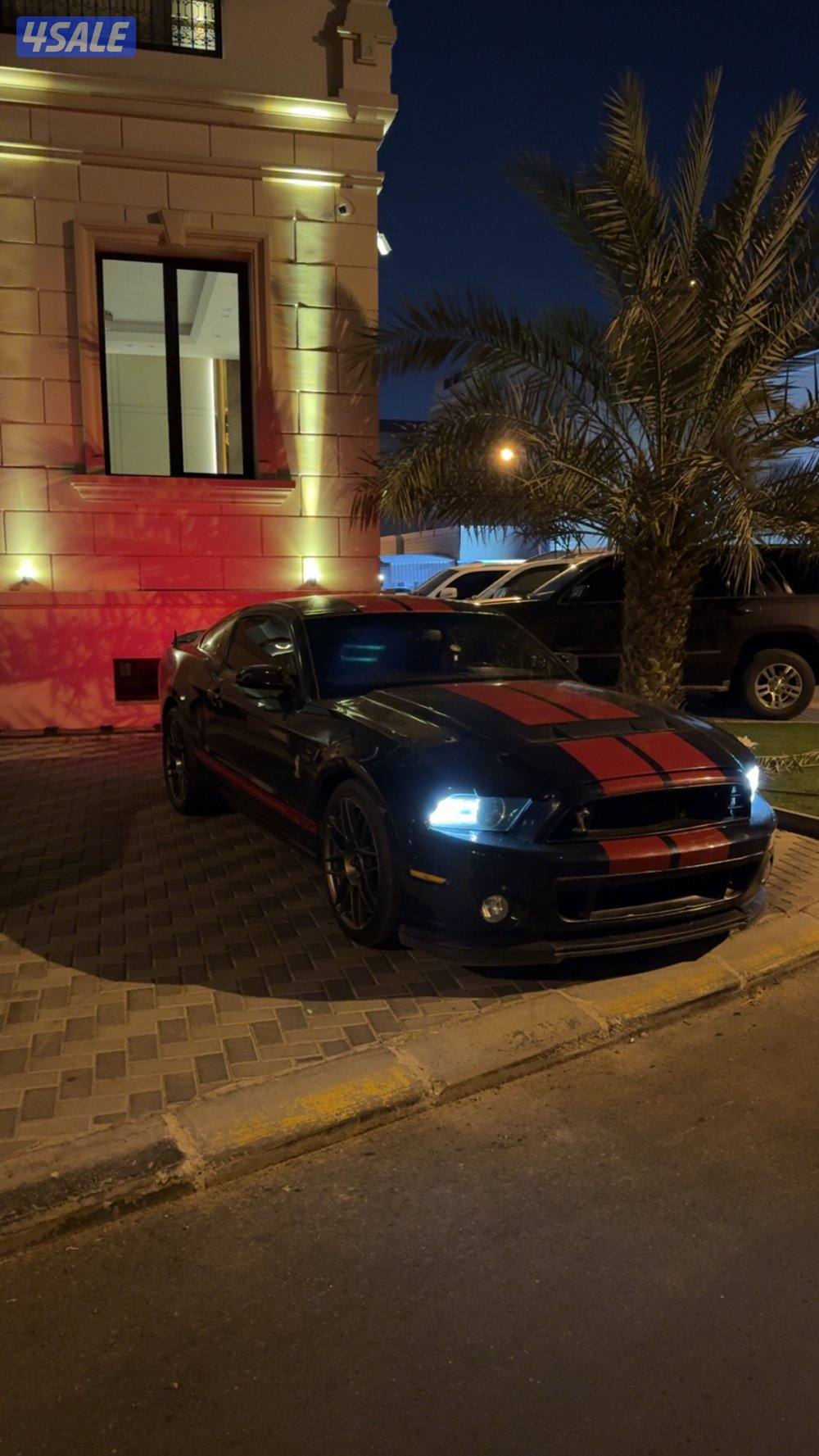 للبيع موستنق ستوك وكالهة1