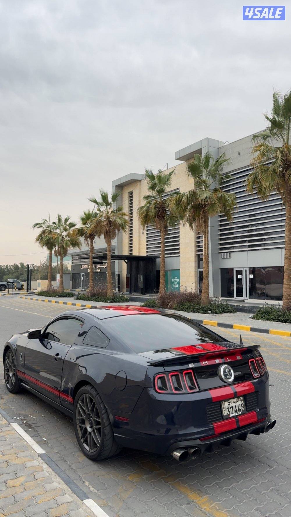 للبيع موستنق ستوك وكالهة8