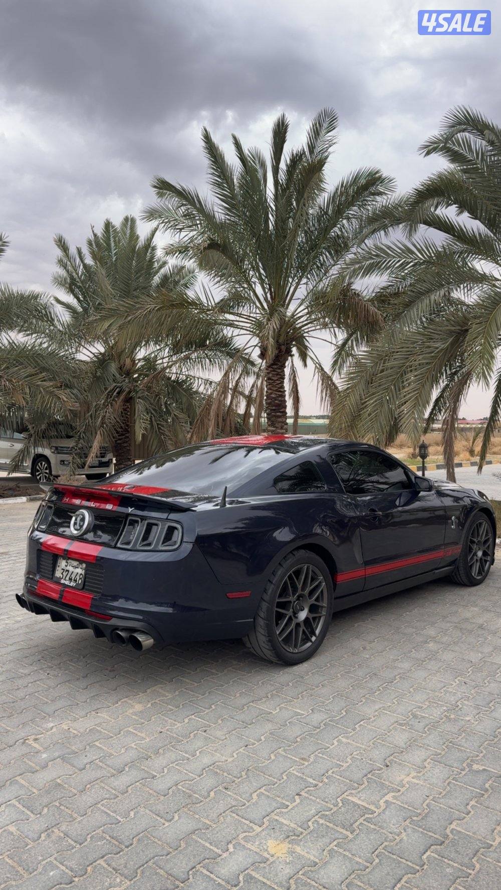 للبيع موستنق ستوك وكالهة9