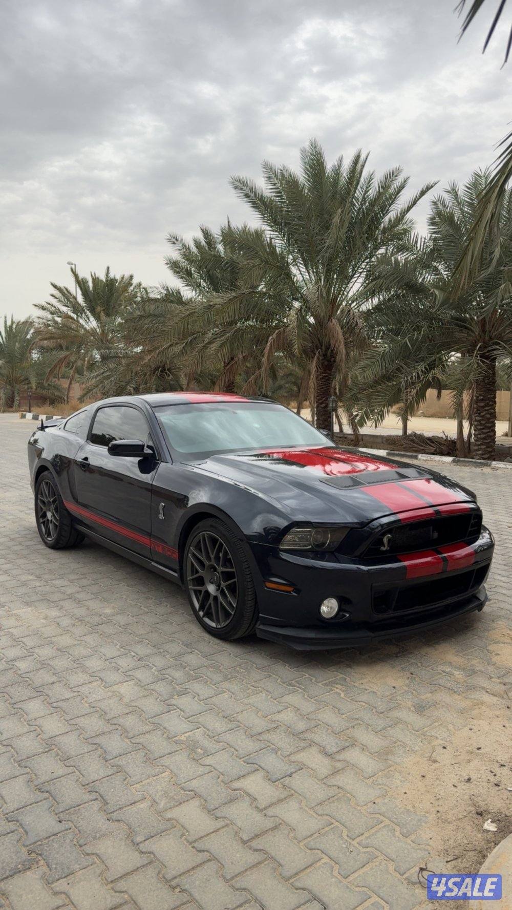 للبيع موستنق ستوك وكالهة10