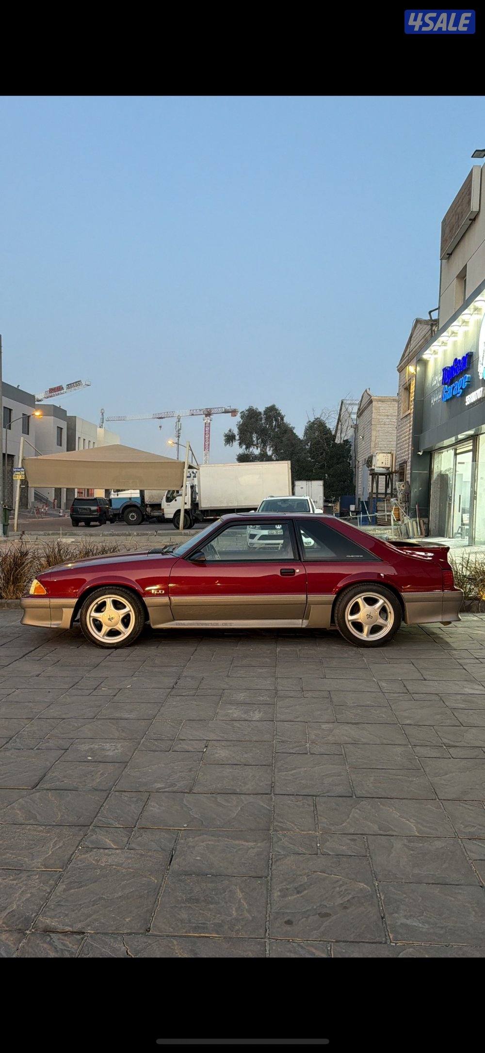 سعد العبدالله1