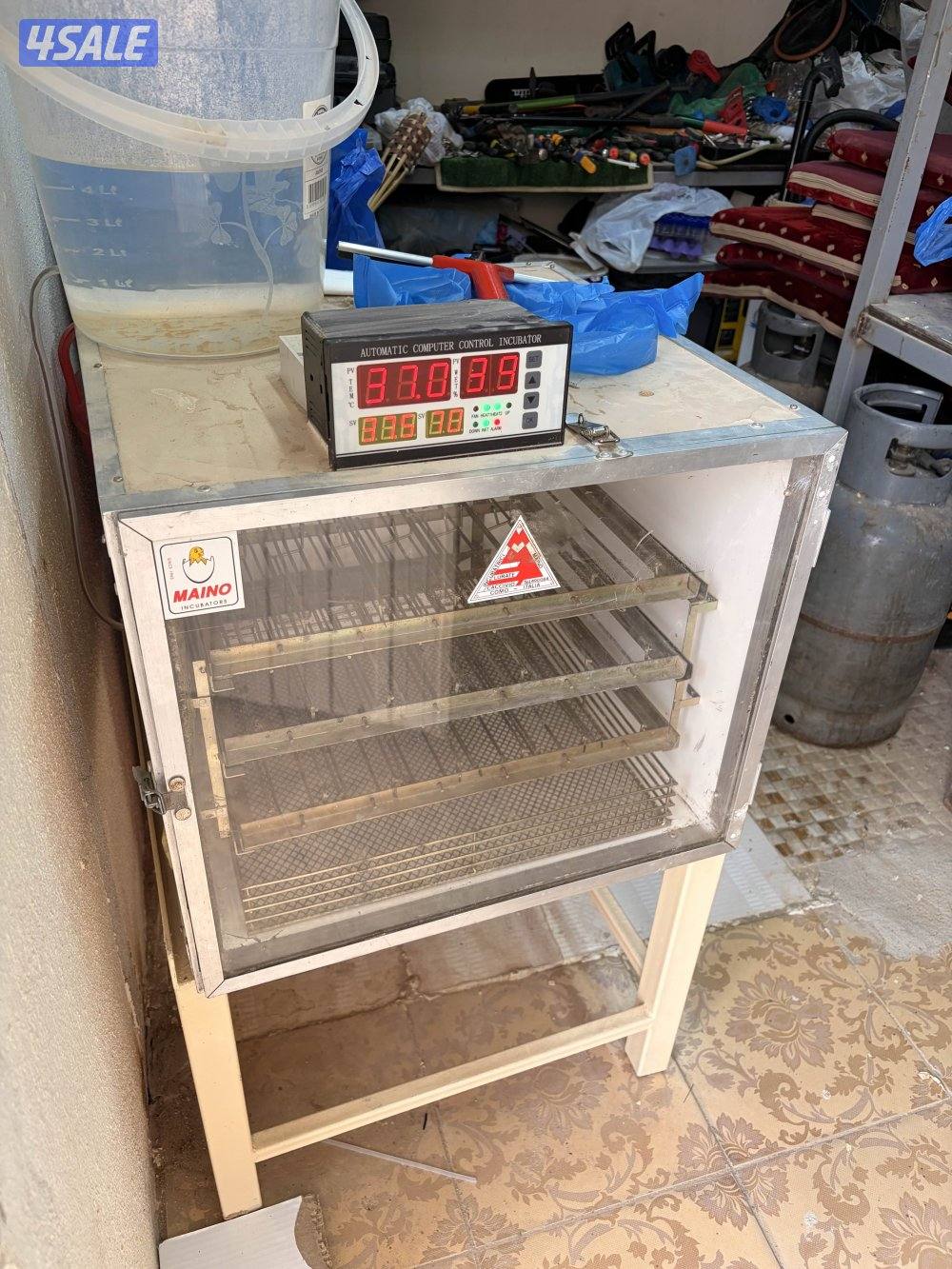 للبيع فقاسة ماينو الايطالية1