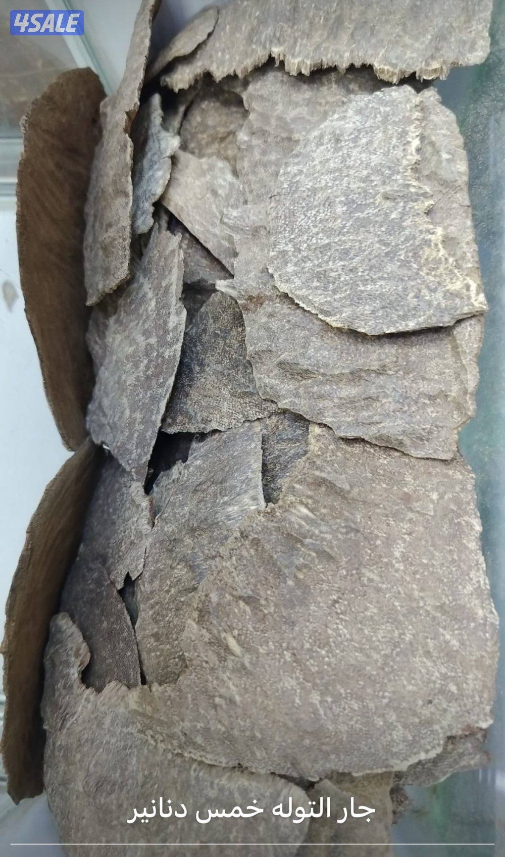 عروض شهر رمضان 🔥😍12