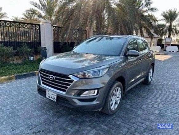 للمعاينة العارضية الحرفية1