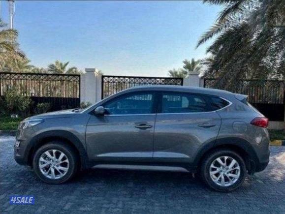 للمعاينة العارضية الحرفية2