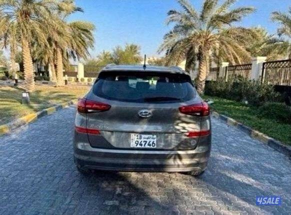 للمعاينة العارضية الحرفية3