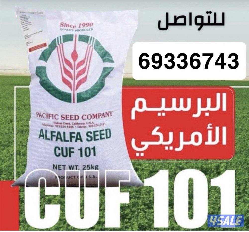 بذور امريكي باسفيك0