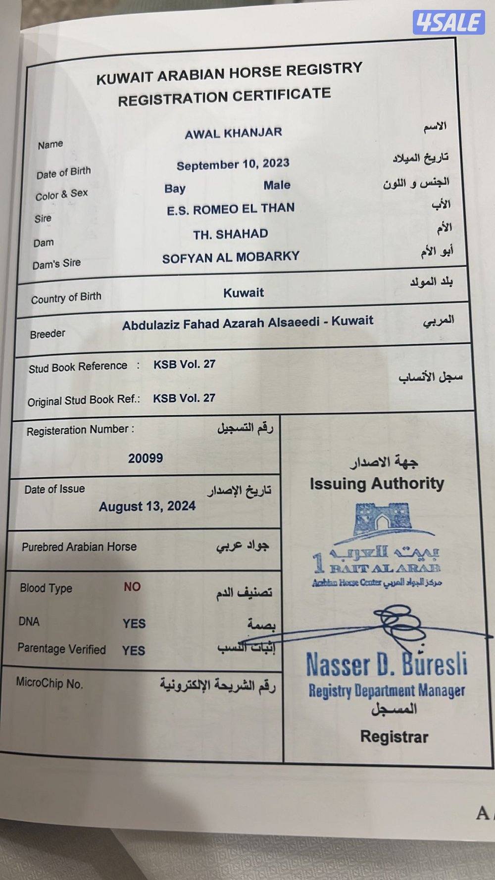 مهر مصري مع أوراقه1