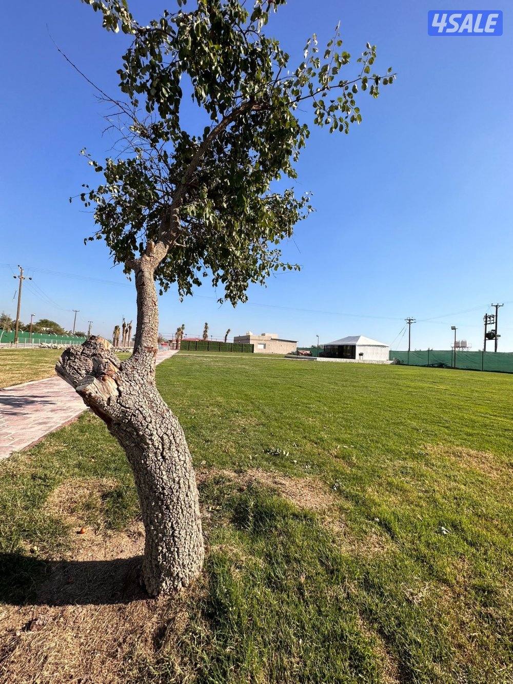 متوفره الويك اند5