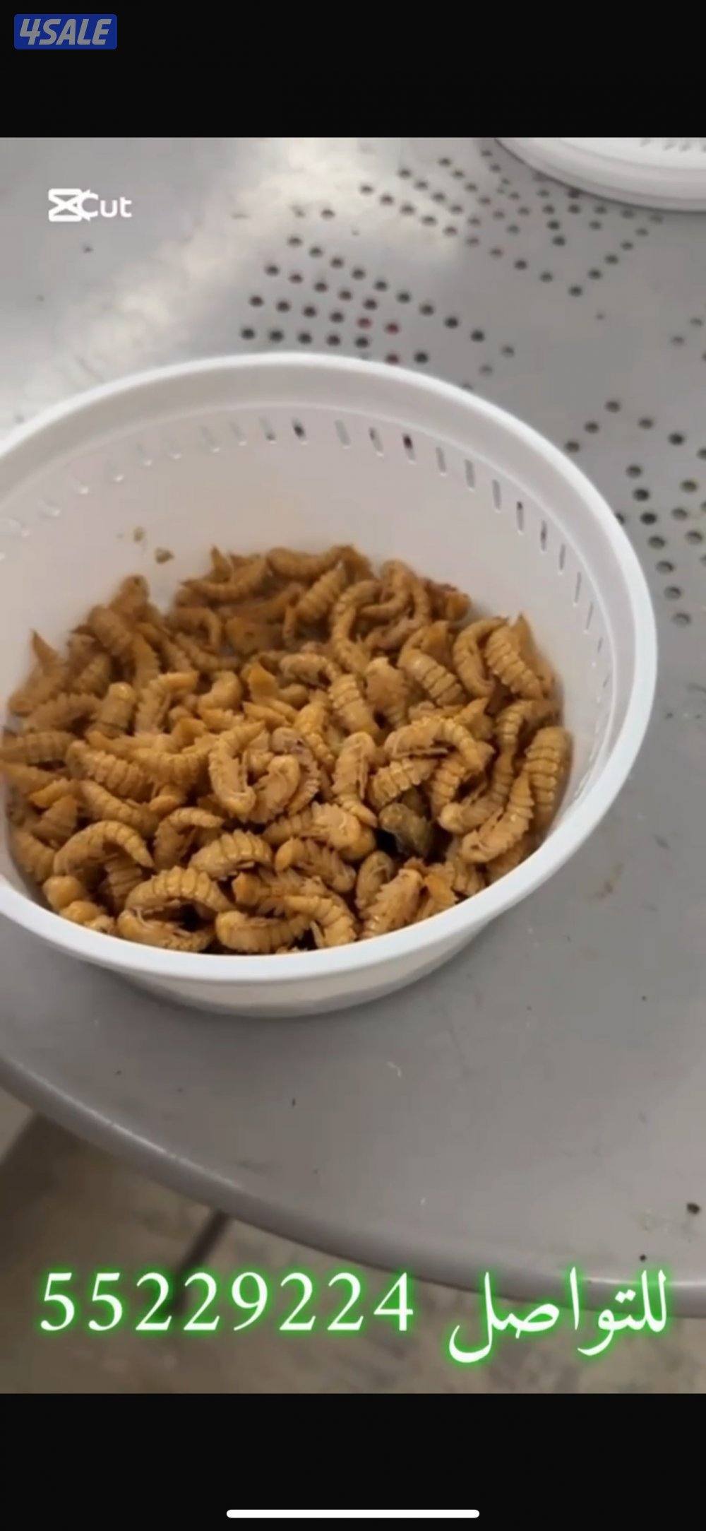 قبابي عتل حي6